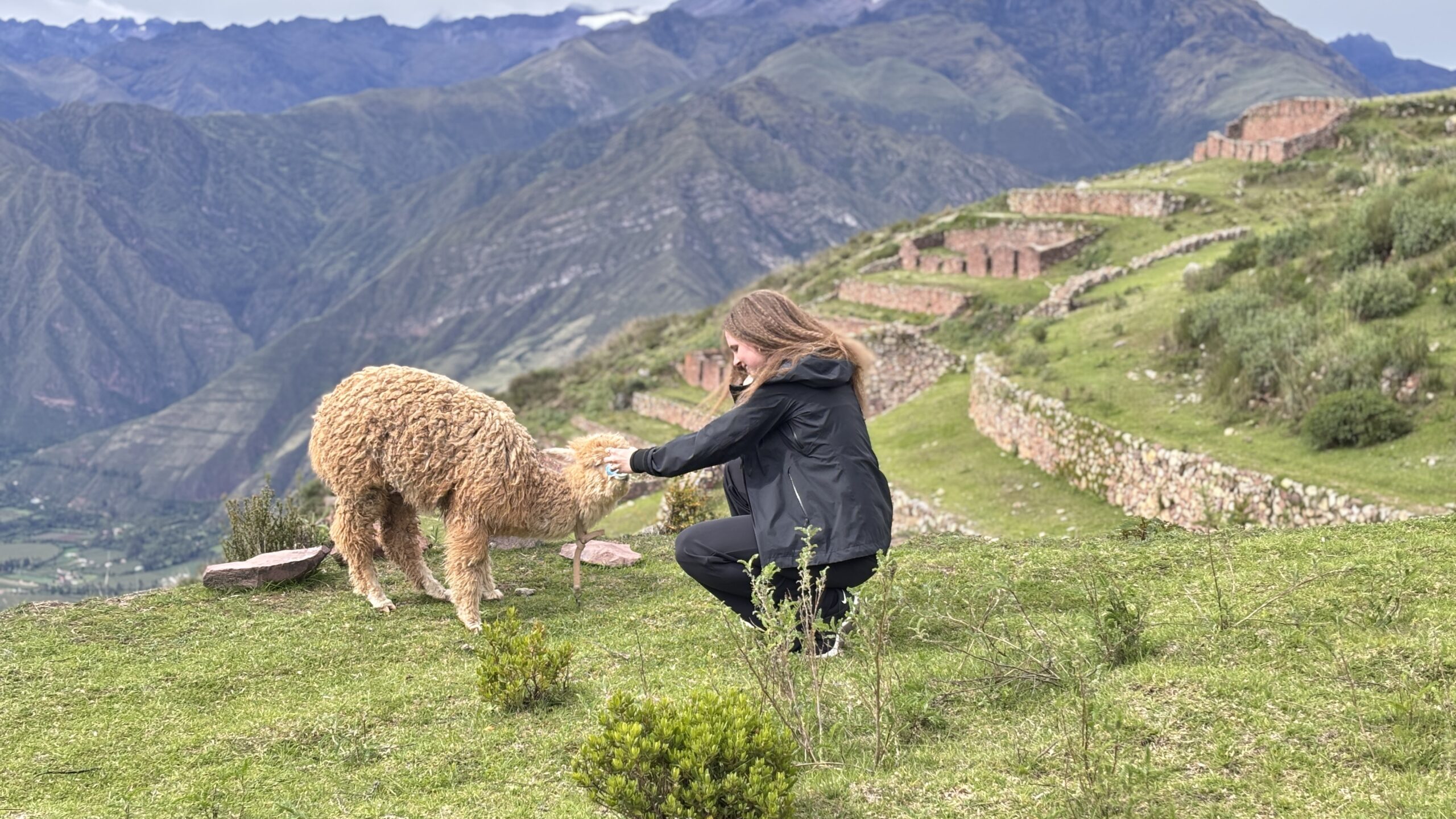 SACRED VALLEY- MARAS SALT MINES-MORAY-CHINCHERO & ALPACA WALK